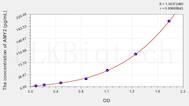 Mouse AMY2(Amylase α 2, Pancreatic) ELISA Kit