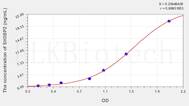 Human SH3BP2(SH3 Domain Binding Protein 2) ELISA Kit