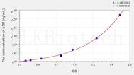 Rat BMG/b2-MG(β-2-Microglobulin) ELISA Kit