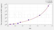 Human SRY(Sex Determining Region Y) ELISA Kit