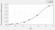 Rat ERK2(Extracellular Signal Regulated Kinase 2) ELISA Kit