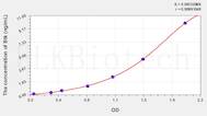 Mouse Btk(Bruton'S Tyrosine Kinase) ELISA Kit