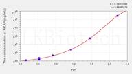 Human NKAP(NFKB Activating Protein) ELISA Kit