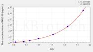 Rat MUC5B(Mucin 5 Subtype B) ELISA Kit