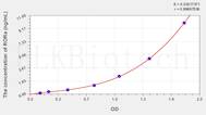 Human RORa(RAR Related Orphan Receptor α) ELISA Kit