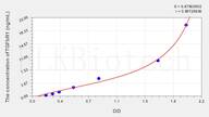 Rat TGFbR1(Transforming Growth Factor β Receptor I) ELISA Kit