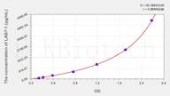 Human LAB7-1(B-Lymphocyte Activation Antigen B7-1) ELISA Kit