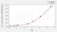 Human RBM8(RNA Binding Motif Protein 8) ELISA Kit