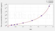 Human ADPRH(ADP Ribosylarginine Hydrolase) ELISA Kit