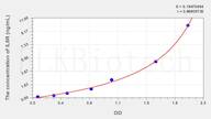 Rat sIL-6R(SolubleInterleukin 6 Receptor) ELISA Kit