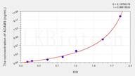 Rat ADAM9(A Disintegrin And Metalloprotease 9) ELISA Kit