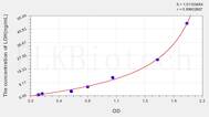 Rat LDH(Lactate Dehydrogenase) ELISA Kit