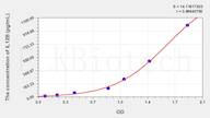 Dog IL-12p40(Interleukin 12 p40) ELISA Kit