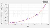 Guinea pig IL-12p40(Interleukin 12 p40) ELISA Kit