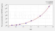 Mouse SFRP5(Secreted Frizzled Related Protein 5) ELISA Kit