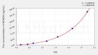 Rat BCKDK(Branched Chain α-Ketoacid Dehydrogenase Kinase) ELISA Kit