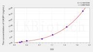 Rat CASP1(Caspase 1) ELISA Kit