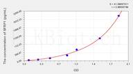 Mouse SFRP1(Secreted Frizzled Related Protein 1) ELISA Kit