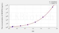 Rat VEGFR3(Vascular Endothelial Growth Factor Receptor 3) ELISA Kit