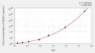 Human RIOK1(RIO Kinase 1) ELISA Kit