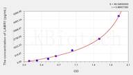 Human LAMR1(Laminin Receptor 1) ELISA Kit