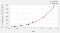 Rat MYH6(Myosin Heavy Chain 6, Cardiac Muscle, α) ELISA Kit