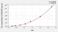 Mouse IQGAP2(IQ Motif Containing GTPase Activating Protein 2) ELISA Kit