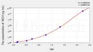 Human NEO1(Neogenin 1) ELISA Kit