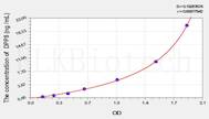 Mouse DPP8(Dipeptidyl Peptidase 8) ELISA Kit