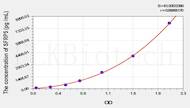 Rat SFRP5(Secreted Frizzled Related Protein 5) ELISA Kit