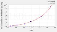 Human RPS6Kb1(Ribosomal Protein S6 Kinase β 1) ELISA Kit