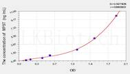 Mouse MPST(Mercaptopyruvate Sulfurtransferase) ELISA Kit