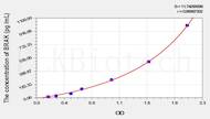 Rat BRAK(Breast And Kidney Expressed Chemokine) ELISA Kit