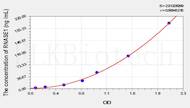 Cattle RNASE1(Ribonuclease A) ELISA Kit