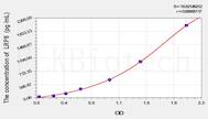 Rat LRP8(Low Density Lipoprotein Receptor Related Protein 8) ELISA Kit