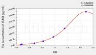 Rat IRAK4(Interleukin 1 Receptor Associated Kinase 4) ELISA Kit