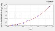 Mouse MDM2(Mdm2 p53 Binding Protein Homolog) ELISA Kit