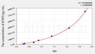 Mouse SFRP2(Secreted Frizzled Related Protein 2) ELISA Kit