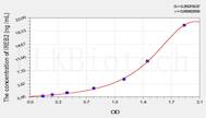 Rat IREB2(Iron Responsive Element Binding Protein 2) ELISA Kit