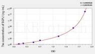 Mouse SGPL1(Sphingosine 1 Phosphate Lyase 1) ELISA Kit