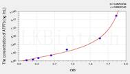 Mouse ATP7b(ATPase, Cu++ Transporting β Polypeptide) ELISA Kit