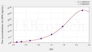 Rat LRP5(Low Density Lipoprotein Receptor Related Protein 5) ELISA Kit