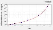 Rat NUCB2(Nucleobindin 2) ELISA Kit