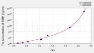 Mouse RRM1(Ribonucleotide Reductase M1) ELISA Kit