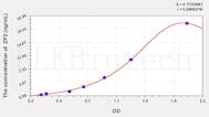 Rat ZP2(Zona Pellucida Glycoprotein 2, Sperm Receptor) ELISA Kit