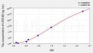 Human LRRC4B(Leucine Rich Repeat Containing Protein 4B) ELISA Kit