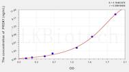 Rat PRDX1(Peroxiredoxin 1) ELISA Kit