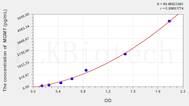 Rat MGMT(O-6-Methylguanine DNA Methyltransferase) ELISA Kit