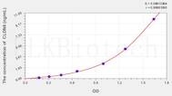 Human CLDN6(Claudin 6) ELISA Kit