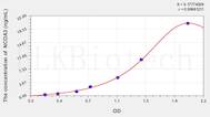 Rat NCOA3(Nuclear Receptor Coactivator 3) ELISA Kit